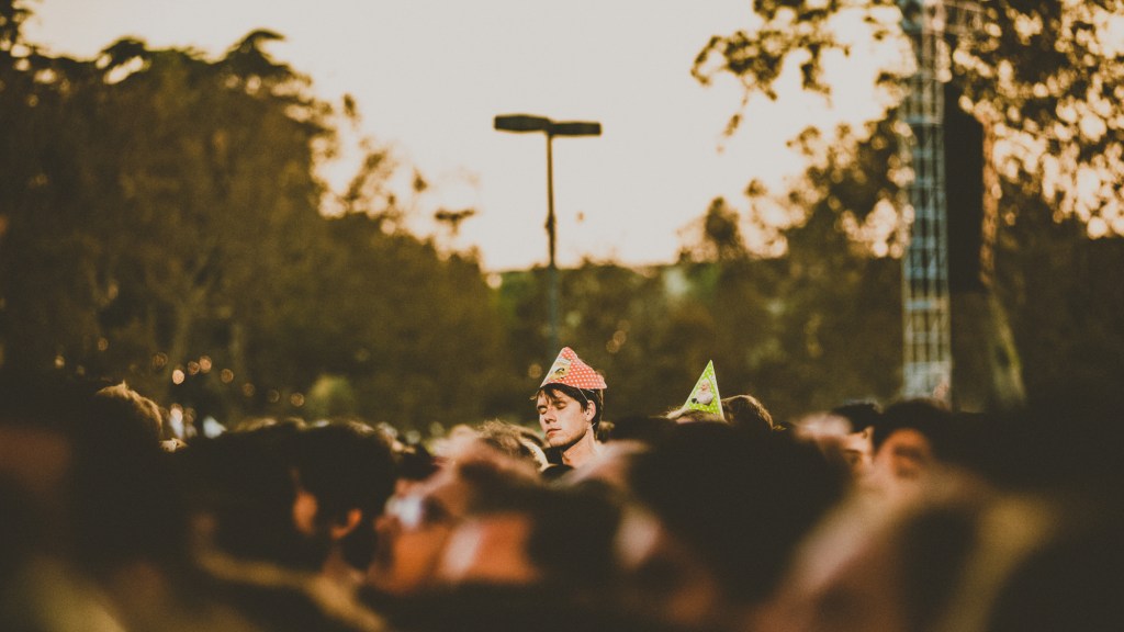 FYF-Header-2015-Rozette_Rago